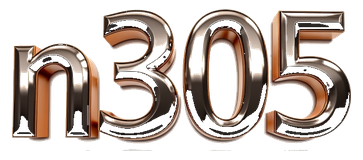 n305 logo